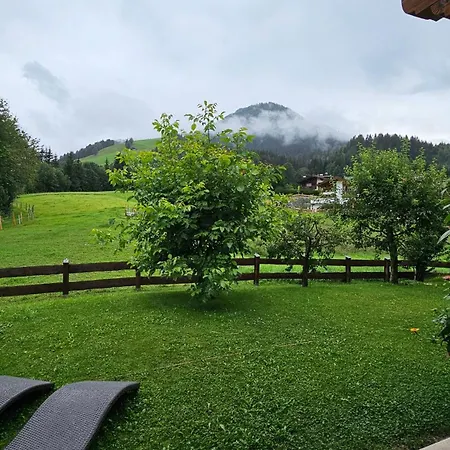 Absolute Active Margret 蒂罗尔-基希贝格